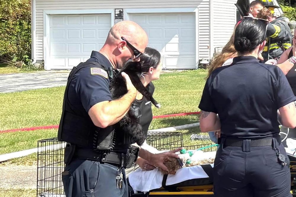 Wrentham Firefighters Rescue Pets From Early Morning House Fire post image